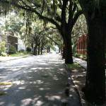 Street Trees & The Virtues of FBCs